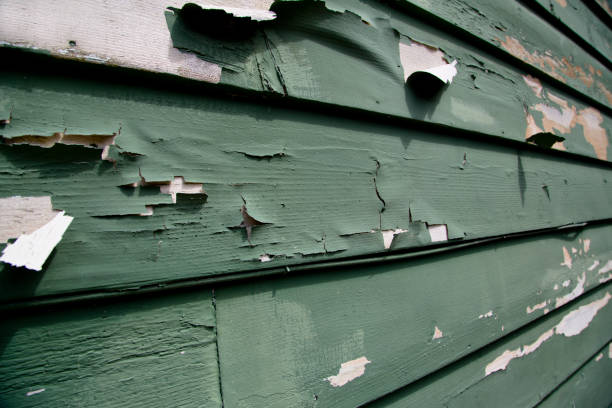 Best Hoarding Cleanup  in St Paul, MO